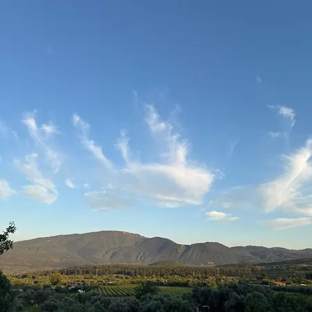 Incir Karavan Park Efes-kusadasi