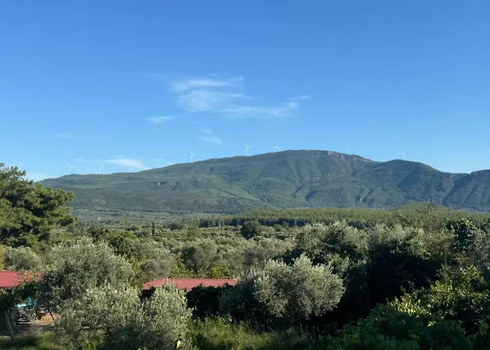 Incir Karavan Park Efes-kusadasi Kemp Aydin